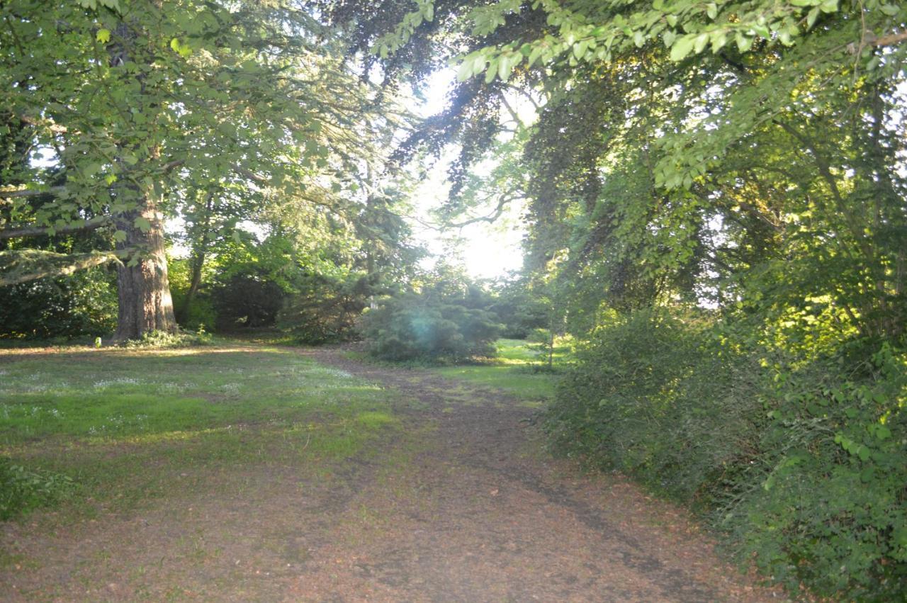 La Gentilhommière du Château de Ragnies Esterno foto